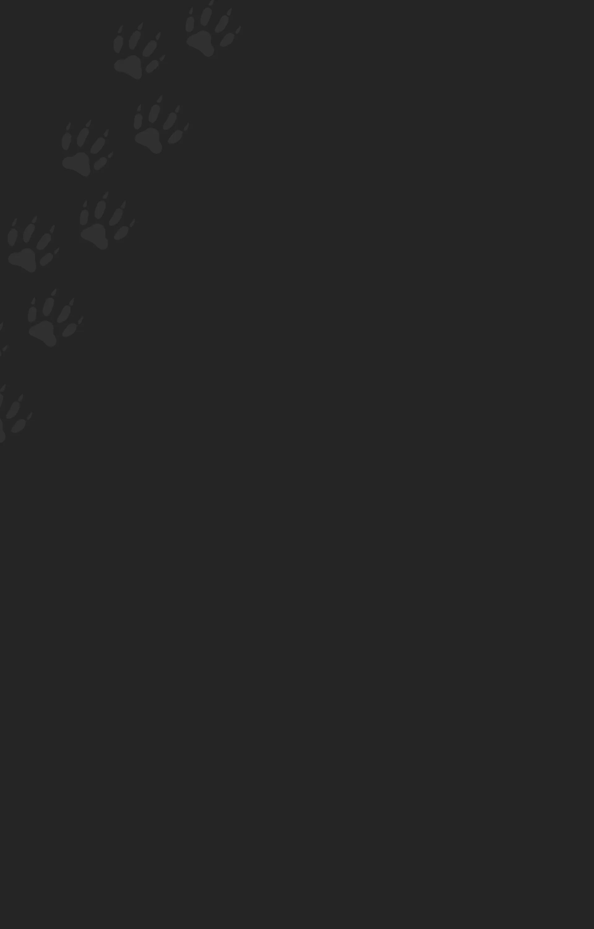 pete's wildlife control services york, pa