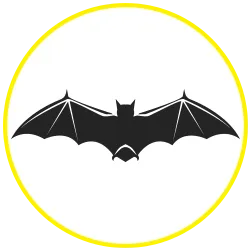 Bats