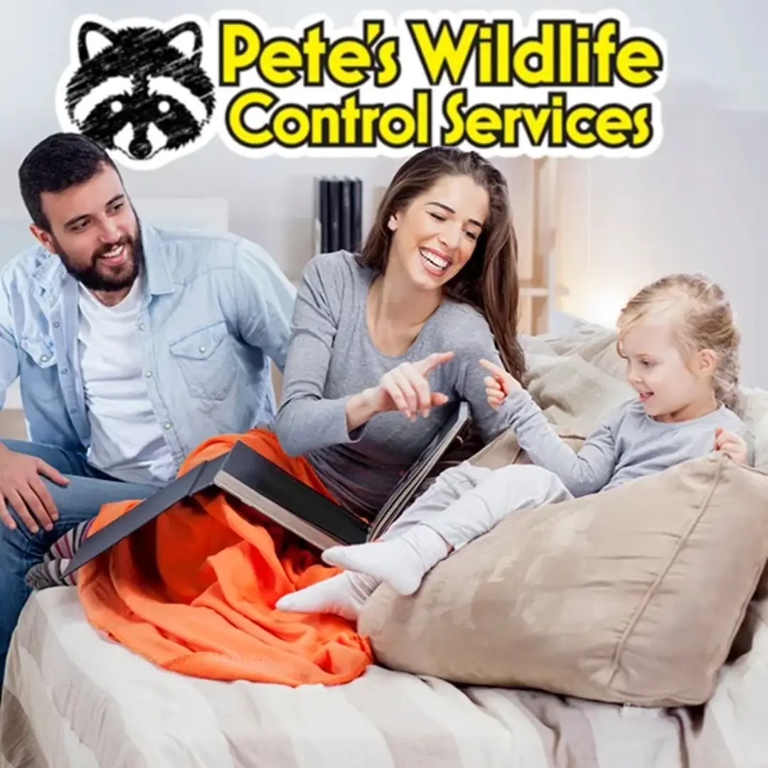 Expert Mouse Trapping