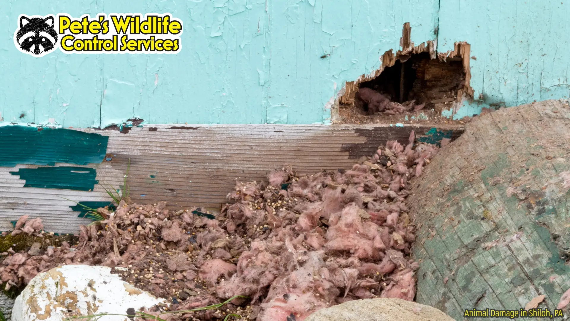 Wildlife Inspection